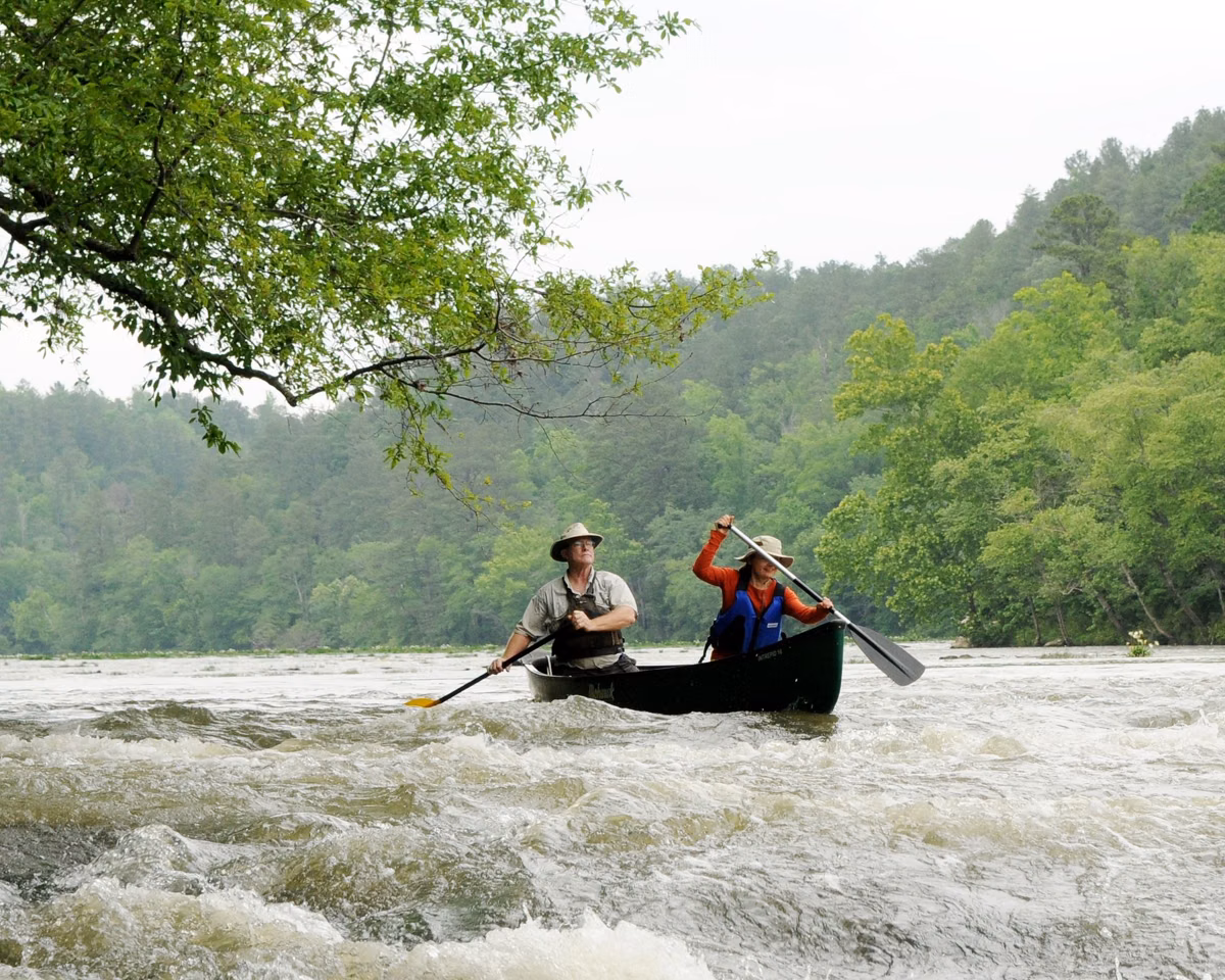 Two paddlers in a canoe running a riffle on a forested river