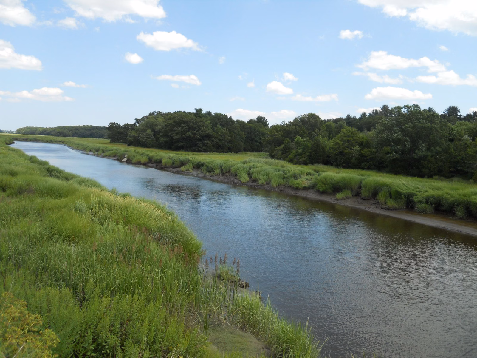 A slow river curving between grassy banks under a blue sky